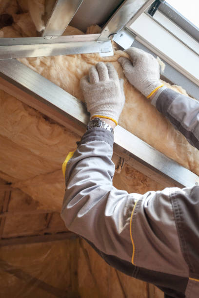 Best Insulation Maintenance and Repair in Munroe Falls, OH